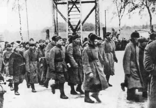 Soviet prisoners of war arrive at the Majdanek camp